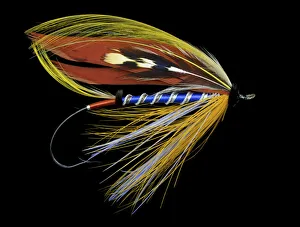 Atlantic Salmon Fly designs Bluebell
