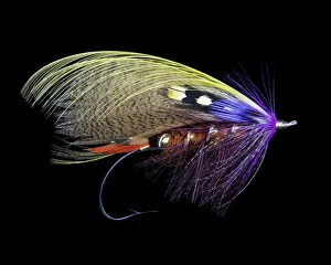 Still Life Prints: Atlantic Salmon Fly designs Brittania