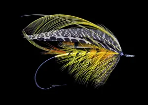 Atlantic Salmon Fly designs Colonel