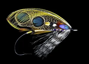 Atlantic Salmon Prints: Atlantic Salmon Fly designs Double Leopard
