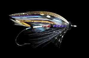 Still Life Prints: Atlantic Salmon Fly designs. Fleming