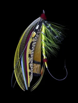 Still Life Prints: Atlantic Salmon Fly designs Green Doctor