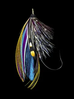 Atlantic Salmon Fly designs Jay Body