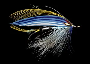 Still Life Prints: Atlantic Salmon Fly designs Jill Susan