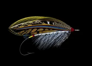 Still Life Prints: Atlantic Salmon Fly designs Silver Doctor