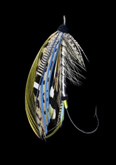 Atlantic Salmon Prints: Atlantic Salmon Fly designs Silver Gray