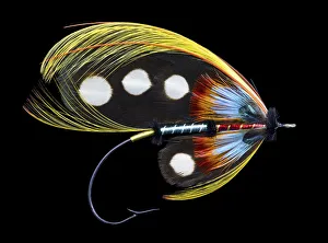 Atlantic Salmon Prints: Atlantic Salmon Fly designs Western Illusion