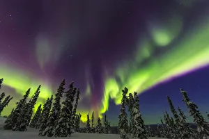 Aurora borealis, northern lights, near Fairbanks, Alaska