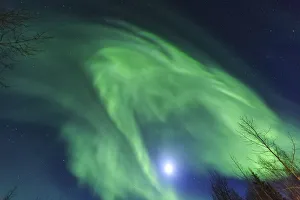 Images Dated 15th March 2016: Aurora borealis, Northern Lights, near Fairbanks, Alaska