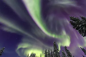 Aurora borealis, Northern Lights, near Fairbanks, Alaska