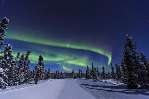 Aurora borealis, Northern Lights near Fairbanks, Alaska