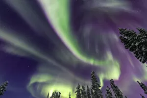 Abstract Gallery: Aurora borealis, Northern Lights, near Fairbanks, Alaska