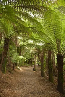 Images Dated 22nd February 2010: Australia