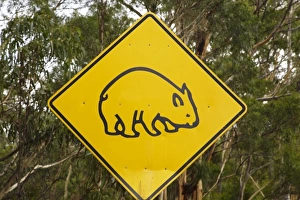 Images Dated 20th February 2010: Australia
