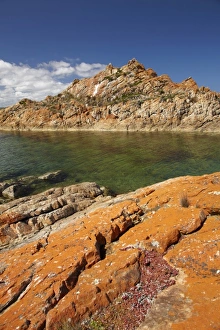 Images Dated 16th February 2010: Australia