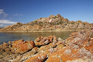 Images Dated 16th February 2010: Australia