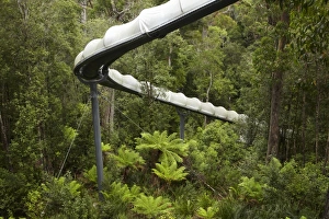 Images Dated 16th February 2010: Australia