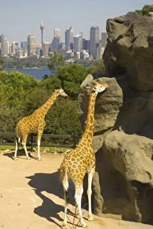 Images Dated 30th August 2010: Australia