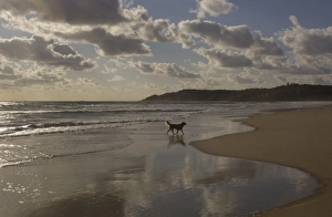Images Dated 18th September 2006: Australia