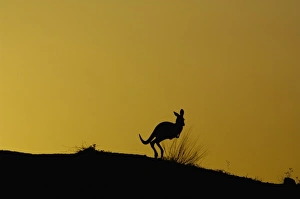 Images Dated 25th September 2006: Australia