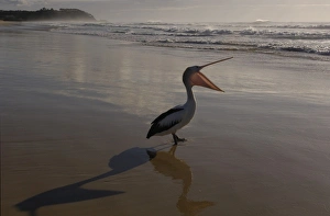 Australia