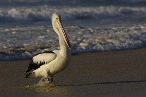 Australia