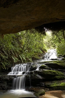 Images Dated 4th September 2008: Australia