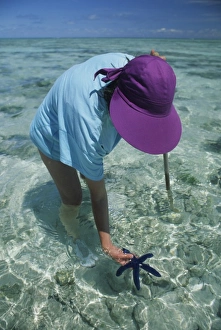 Barrier Reef Prints: Australia, Barrier Reef, Heron Island, tourist explores reef, MR