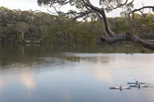 Images Dated 6th March 2018: Australia, New South Wales, Sydney. Kayakers on peaceful Georges River