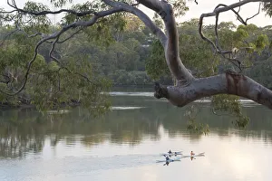 Kayak Prints: Australia, New South Wales, Sydney suburb Lugarno. Kayakers on peaceful Georges River