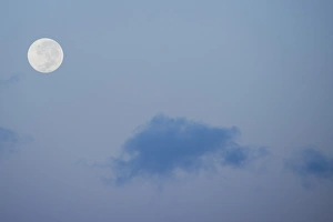Images Dated 16th April 2014: Australia, Northern Territory, Darwin. Full moon, moonrise with blue sky
