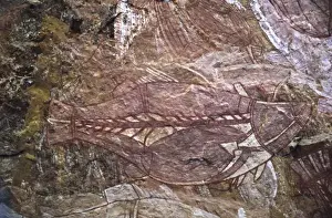 Kakadu Prints: Australia, Northern Territory, Kakadu National Park. An aboriginal cave painting