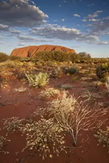 Images Dated 23rd February 2009: Australia, Northern Territory, Uluru-Kata Tjuta National Park. Setting sun lights