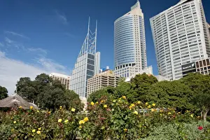 Images Dated 11th April 2014: Australia, NSW, Sydney. Downtown city skyline view from the Royal Botanic Gardens