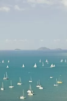 Images Dated 31st October 2007: Australia, Queensland, Whitsunday Coast, Airlie Beach. Sailbots in the Harbor