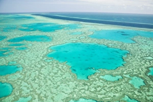 Images Dated 1st November 2007: Australia, Queensland, Whitsunday Coast, Great Barrier Reef. Aerial of the Great