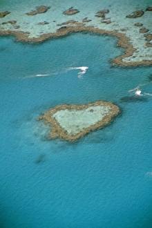 Images Dated 9th August 2012: Australia, Queensland, The Whitsunday Islands, National Park. Heart Reef from the air