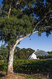 Images Dated 24th February 2014: Australia, South Australia, Adelaide, Adelaide Botanic Garden, Bicentenial Conservatory