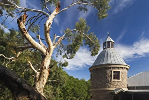 Images Dated 25th February 2014: Australia, South Australia, Barossa Valley, Mount Pleasant, Peter Seppelt Winery