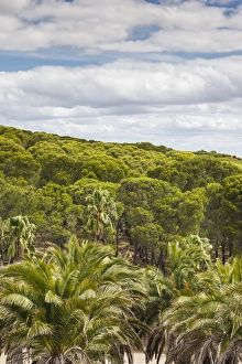 Australia, South Australia, Barossa Valley, Seppeltsfield, Seppeltsfield Winery