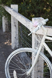 South Australia Prints: Australia, South Australia, Clare Valley, Auburn, white bicycle
