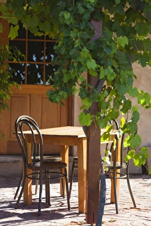 Australia, South Australia, Fleurieu Peninsula, McLaren Vale, McLaren Vale Wine Region