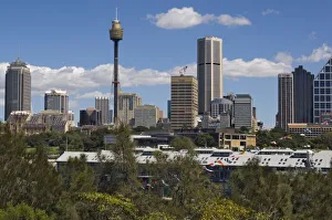 Sky Scraper Prints: Australia, Sydney, Potts Point. Sydney skyline