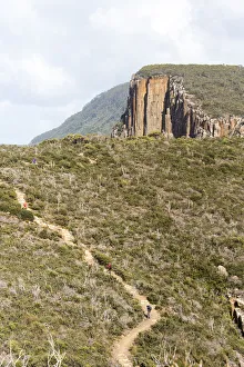 Hiking Prints: Australia, Tasmania, Tasman National Park. Hikers on Cape Hauy, Three Capes Track. (MR)