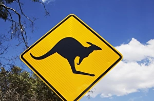 Danger Prints: Australia, Victoria, Grampians National Park, Kangaroo Crossing road warning sign