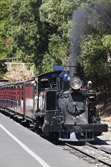 Images Dated 18th February 2014: Australia, Victoria, VIC, The Dandenong Ranges, Belgrave, Puffing Billy steam train