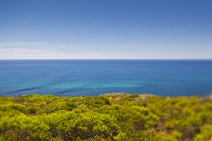 Images Dated 11th March 2014: Australia, Western Australia, The Southwest, Cape Naturaliste, landscape, defocussed