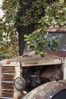 Images Dated 13th March 2014: Australia, Western Australia, The Southwest, Boyup Brook, old truck