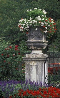 Salzburg Prints: Austria, Salzburg. Garden at Mirabell Palace