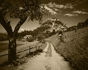 Images Dated 21st February 2013: Austria, Tyrol, Reutte, View of dirt road through field